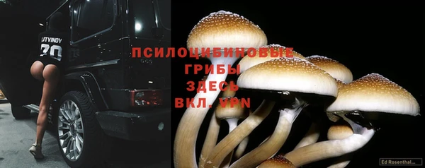 стаф Михайлов