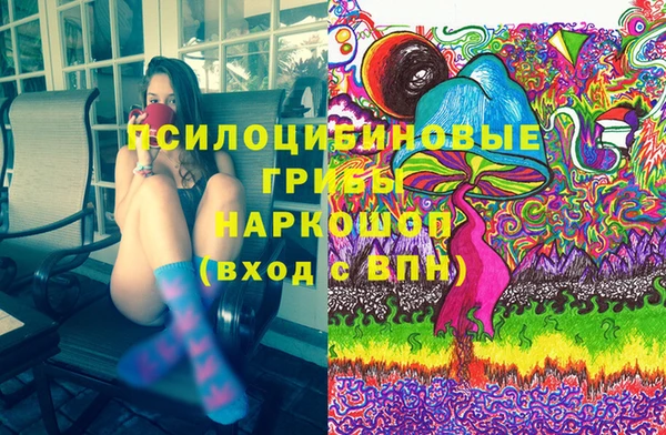 стаф Михайлов