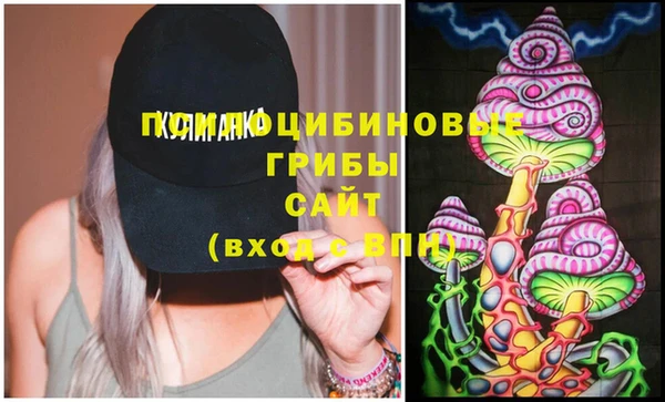 стафф Михайловск