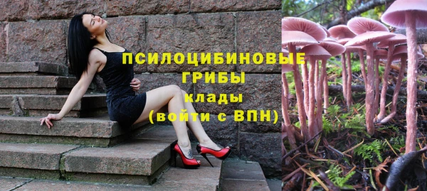 стафф Михайловск