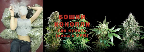 стаф Михайлов