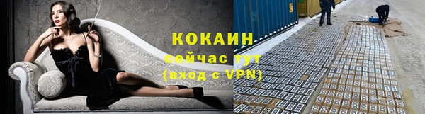стаф Михайлов
