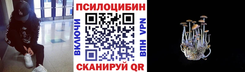 Псилоцибиновые грибы ЛСД  наркота  KRAKEN рабочий сайт  Новое Девяткино 